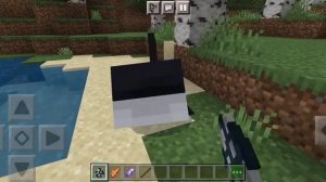 how to advance orca in minecraft