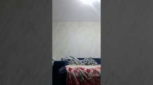 Как почувствовать уйут у себя дома (часть 1.)