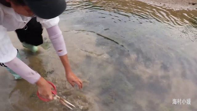 【ENG】妹子趕海大豐收，螃蟹張牙舞爪，還有超多海螺帶回家 смотреть онлайн