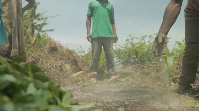 Agroecology implemented in farming by Sustainable Agriculture Tanzania смотреть онлайн