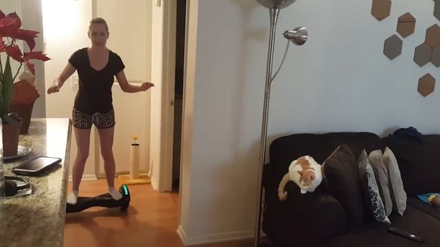 Wifeys first time on hoverboard смотреть онлайн