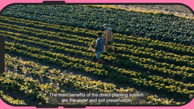 SOIL: A NATURAL RESOURCE ESSENTIAL TO LIFE смотреть онлайн