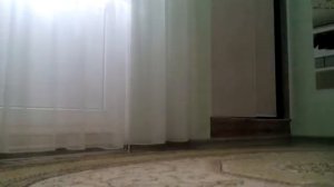 Как за 2 1секунду заправить футболку или шорты