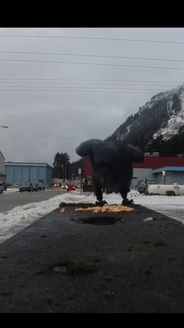 Raven смотреть онлайн