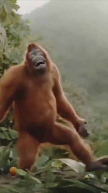 HOOKAH BAR || तेरे प्यार का नशा कभी आर कभी पार.....💓😛🔥🔥🔥🐒🎶🎶#shorts смотреть онлайн