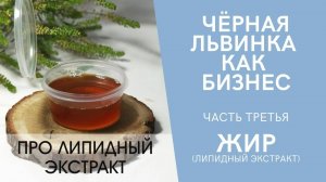 Чёрная львинка как бизнес. Часть третья. Жир (липидный экстракт).
