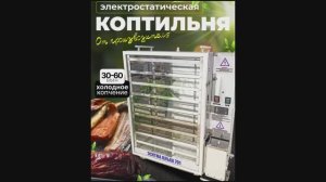 Коптильня электростатическая холодного копчения ЭСКТМА ОЛЬХА 701
