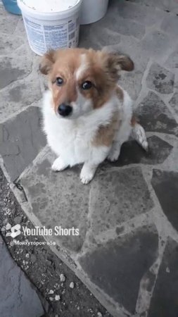 ТЫ ЧЕЙ ТАКОЙ???Shorts