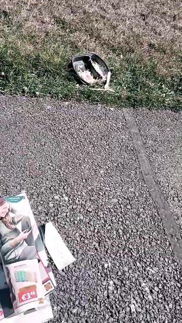 Crow attack смотреть онлайн