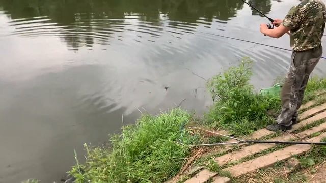 Онлайн Карп смотреть онлайн