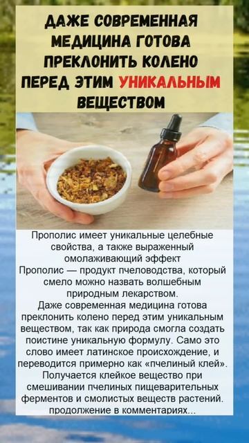 пчёлы... полезно знать! смотреть онлайн