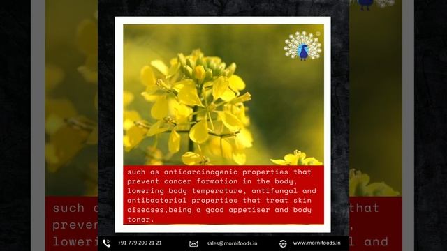 Medicinal Qualities of Mustard Oil and Its Role in Human Health against Chronic Diseases |