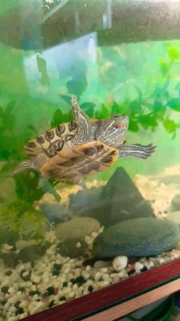 10 марта 2024 г. смотреть онлайн