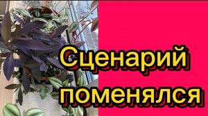 ДЕРЕВЕНСКИЙ ДНЕВНИК. Сценарий поменялся.