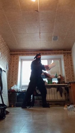 Very Nordic Ninja: Double by Painter (19.02.2025) Крайне Северный Ниндзя: Двойной Живописца #Ninja