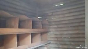 Куриные вши,пероед,сикорашки. Как и чем обрабатываю.