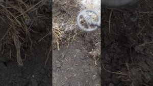 шурф поляны у старинного завода  часть 5 (день креста)