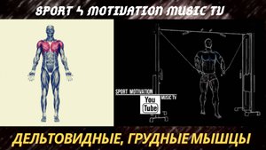 Сведение рук в кроссовере. Как накачать грудные мышцы.