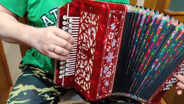 Разбор красивых наигрышей на гармони у мастера настройщика Геннадия 3 аккорда 300 песен смотреть онлайн