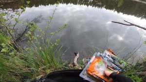 Azura '24 Vesta Light Game 80L