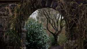 Потаённое окно, потаённый сад - часть 2