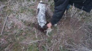 ОХОТА НА САМОГО УЖАСНОГО ЗВЕРЯ