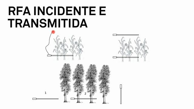 Índice de Área Foliar IAF - Teoria, Métodos de Medição e Aplicações смотреть онлайн