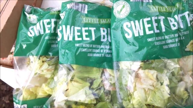 DUMPSTER DIVING: TONS OF FREE FOOD~ WATCH TIL END~ WHAT OTHER 55 YR OLD WOMAN WOULD DO THIS FOR YOU