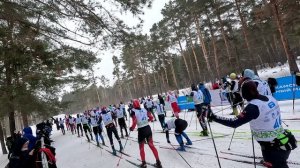 Камский лыжный марафон 2025. Старт на 50 км