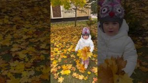 Осень 🍂 Дарите женщинам цветы 🌷🌺 🌷 🌺 🌷 🌺 #осень #листьяжелтые