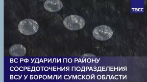 ВС РФ ударили по району сосредоточения подразделения ВСУ у Боромли Сумской области