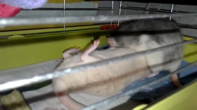 20161003 103443 смотреть онлайн