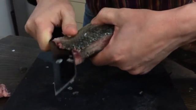 Строганина. смотреть онлайн