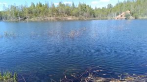 Настя подари мне счастье, Настя подари любовь.