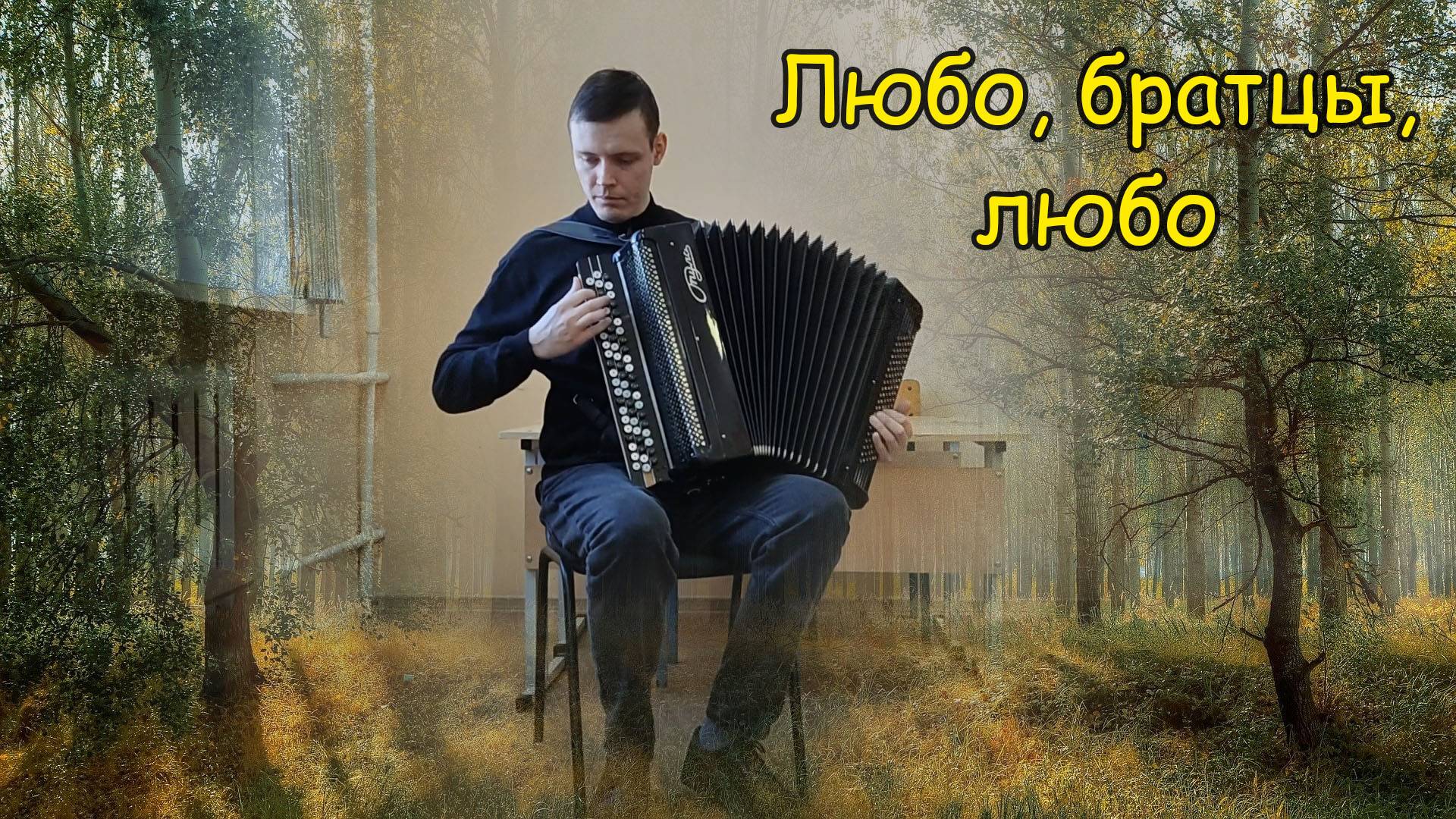Любо, братцы, любо ♫ Импровизация-размышление на баяне от Саши ♫