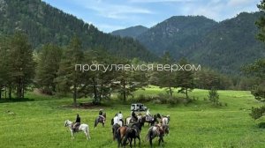 ЭтноКэмп. Пять дней перезагрузки в месте силы