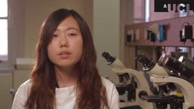 Investigating protein structure (Biochemistry and Biotechnology)