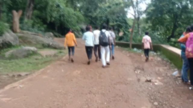Dalma jungle hill jharkhand / top mountain travel ? funny monkey's & 🐒😀 #trending #vlog смотреть онлайн