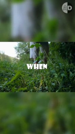 The Secret Language of Plants: They Cry Under Stress