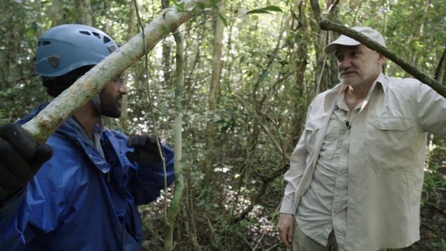 Searching for the Vampire Bat смотреть онлайн