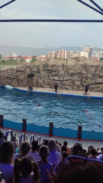 Батуми и Дельфины смотреть онлайн