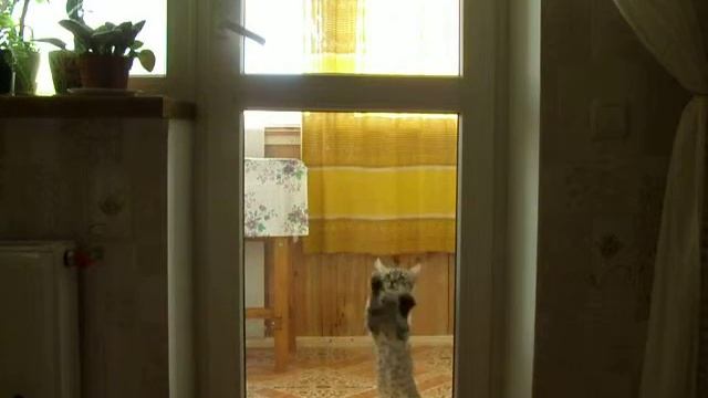 Мусик 2 окно смотреть онлайн