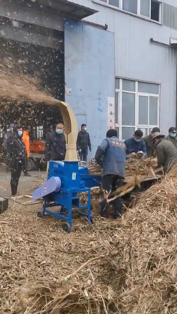 Weiwei new corn straw choppr chaff cutter 3T/H feed machine смотреть онлайн