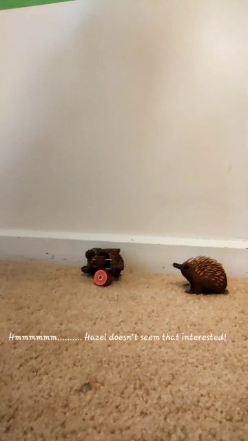 Eugy Echidna And Eugy Tasmanian Devil! смотреть онлайн