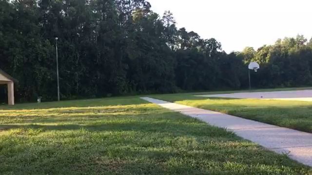 Test for blocking and camera angle смотреть онлайн