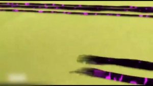 НА КАКОМ МОМЕНТЕ БУДЕТ ЗАКОНЧЕН 4 СЕЗОН? ЛЕДИ БАГ И СУПЕР КОТ 🐞