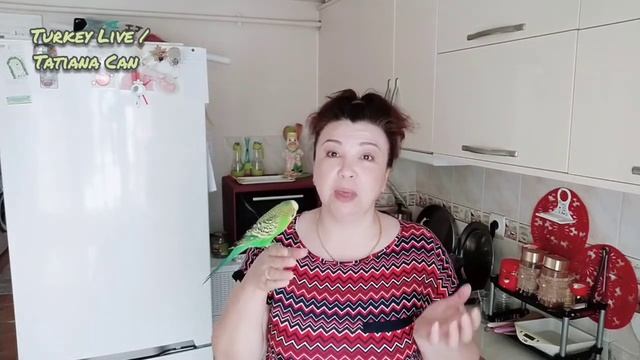 VLOG_Перевод💵_Кто-то любит а кого-то Бесит_Мой результат_ответ на вопрос_Аналитика просмотров_Турци смотреть онлайн