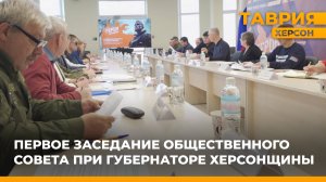 В Херсонской области прошло первое заседание общественного совета при губернаторе