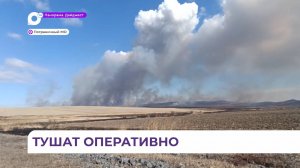 Три очага возгорания зафиксированы в Пограничном округе Приморья