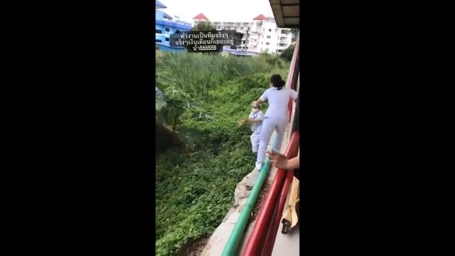 Тайские медсестры собирают дикую папайю смотреть онлайн